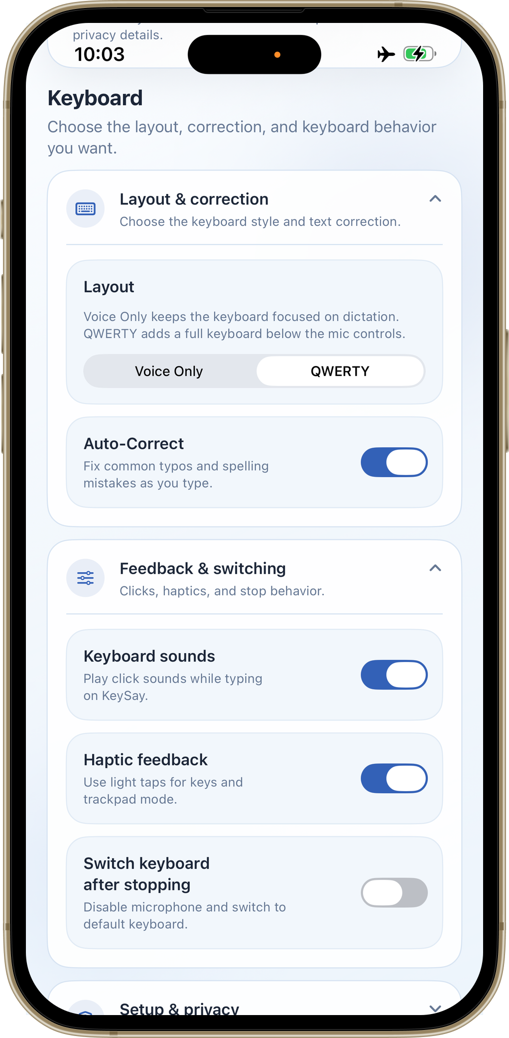 KeySay settings screen showing Voice Only and QWERTY layout options, auto-correct toggle, haptic feedback, and keyboard sound controls